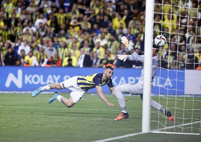 但在赛季末 但在赛季末