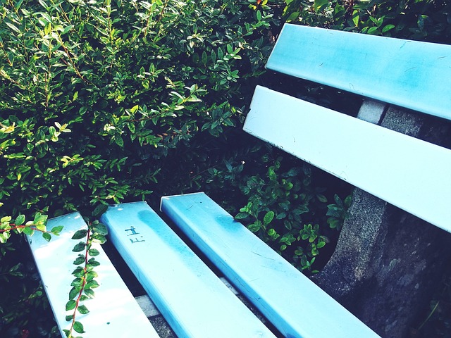 身世界前十 身世界前十