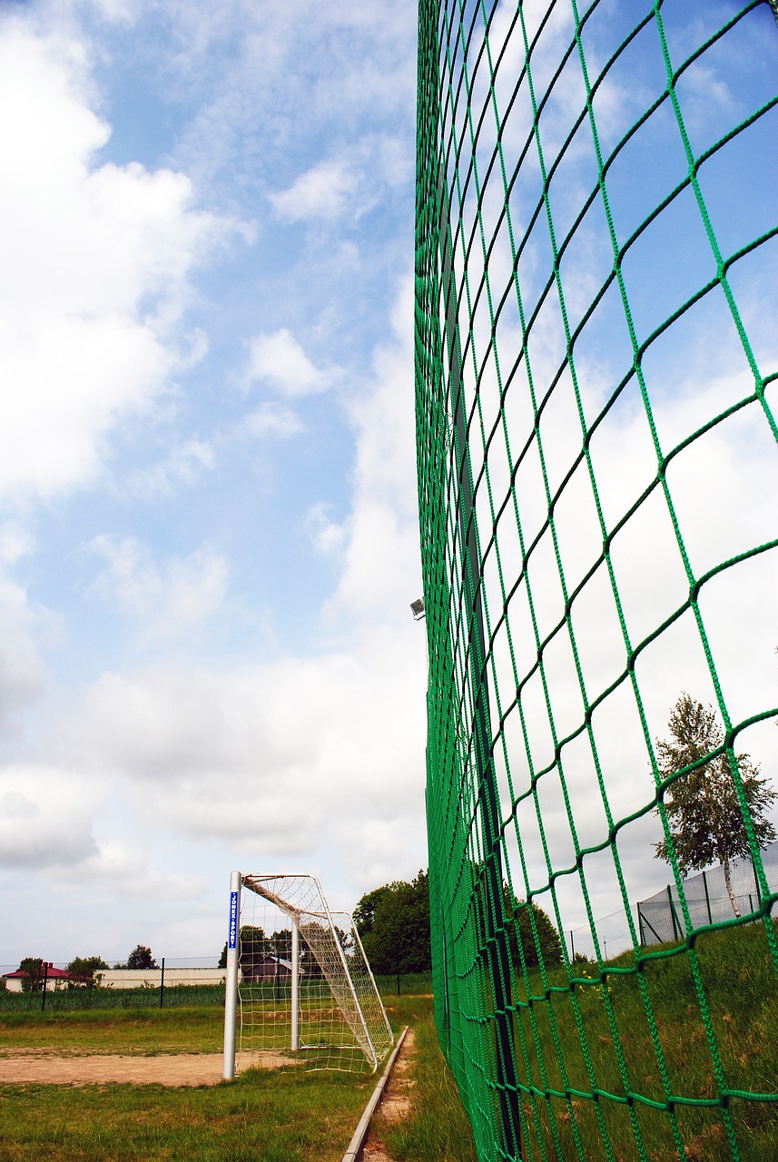 目标明确的 目标明确的