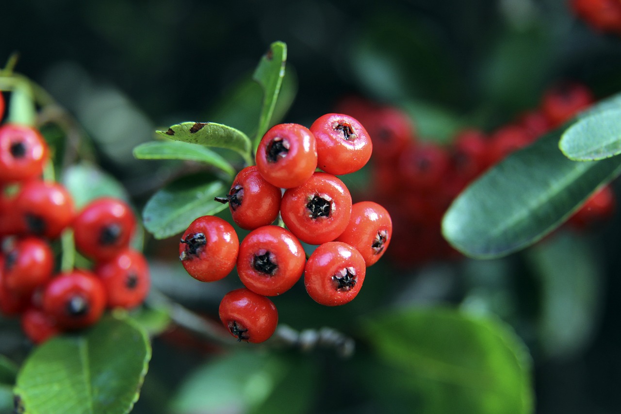 个人创意 个人创意